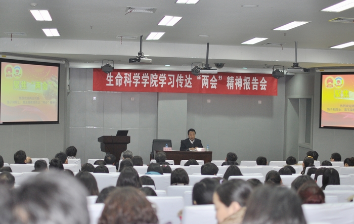 精品久久久久久无码人妻