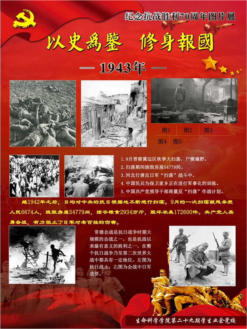 精品久久久久久无码人妻