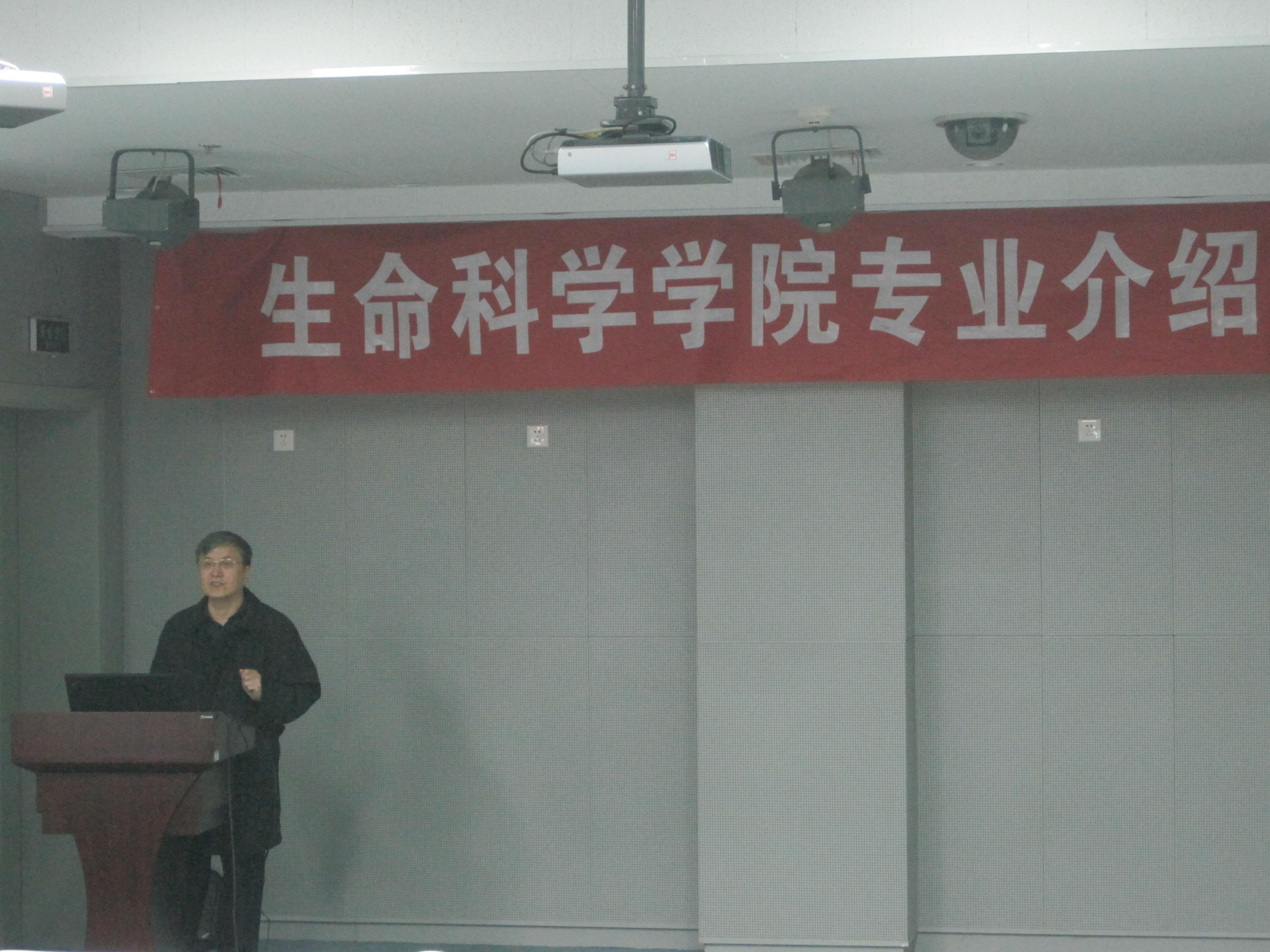 精品久久久久久无码人妻