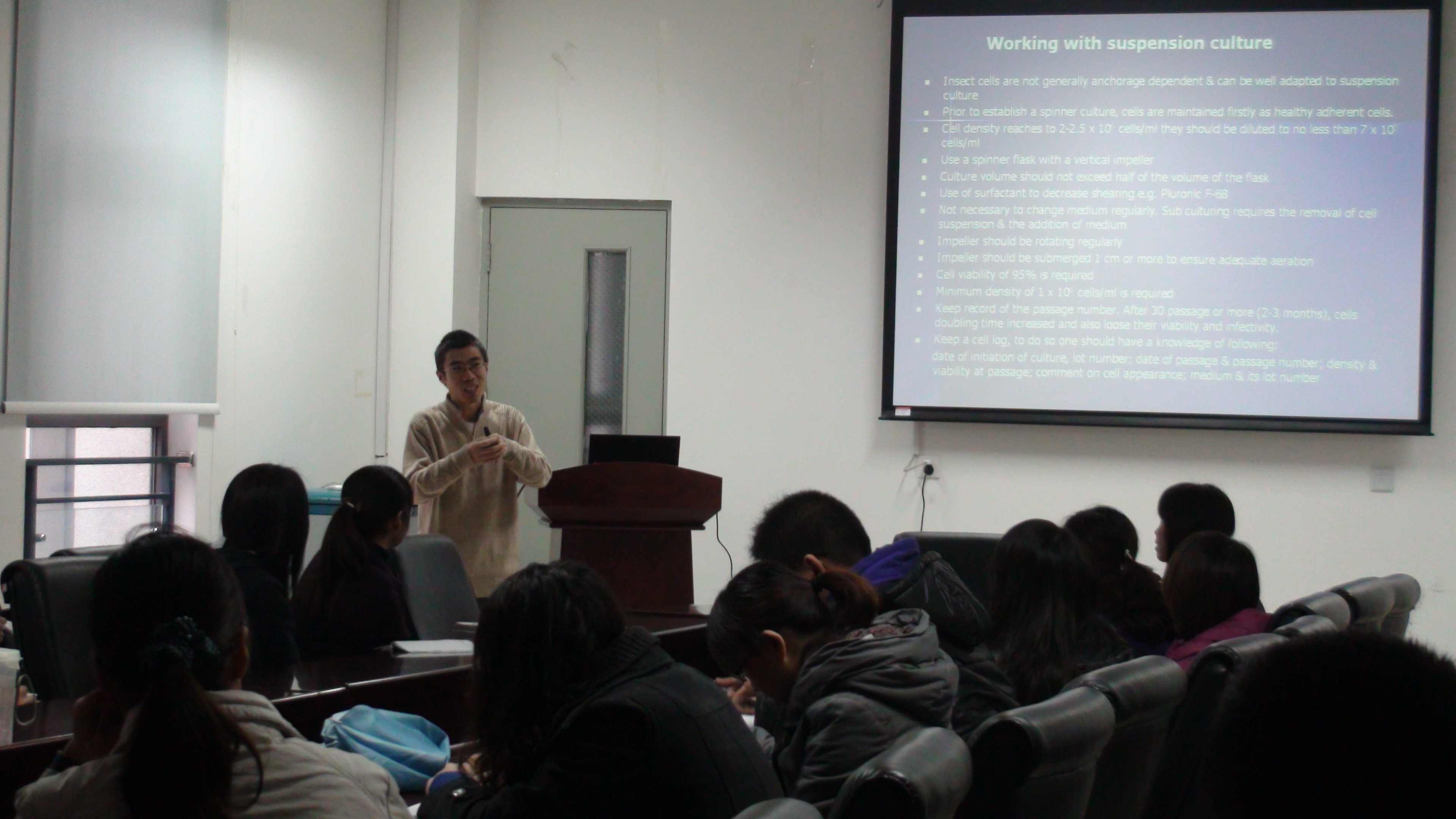 精品久久久久久无码人妻