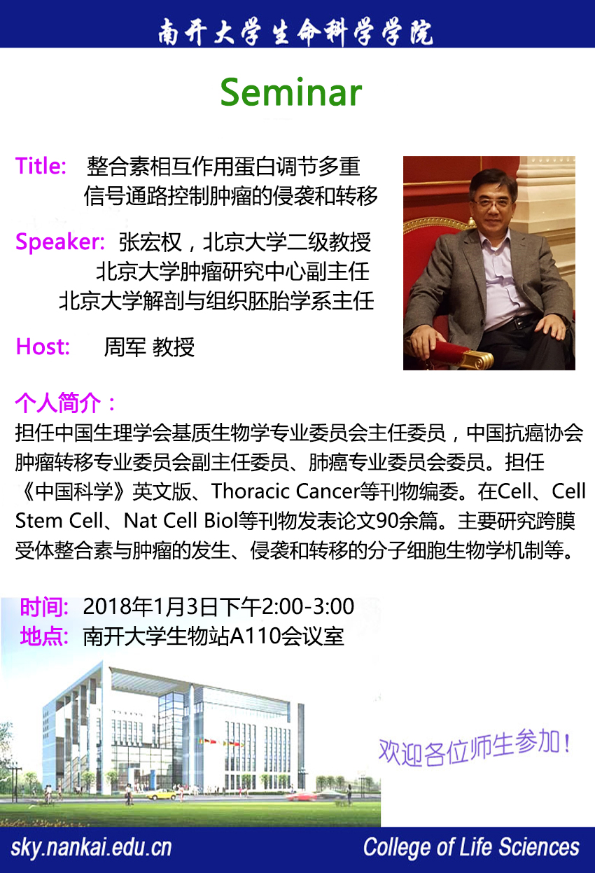 精品久久久久久无码人妻
