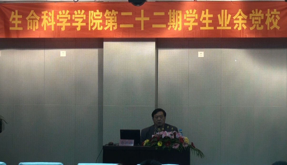 精品久久久久久无码人妻