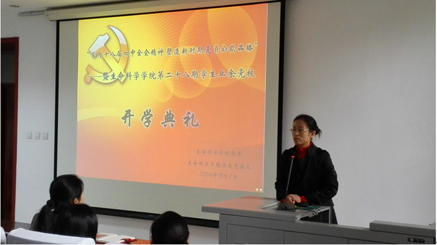 精品久久久久久无码人妻