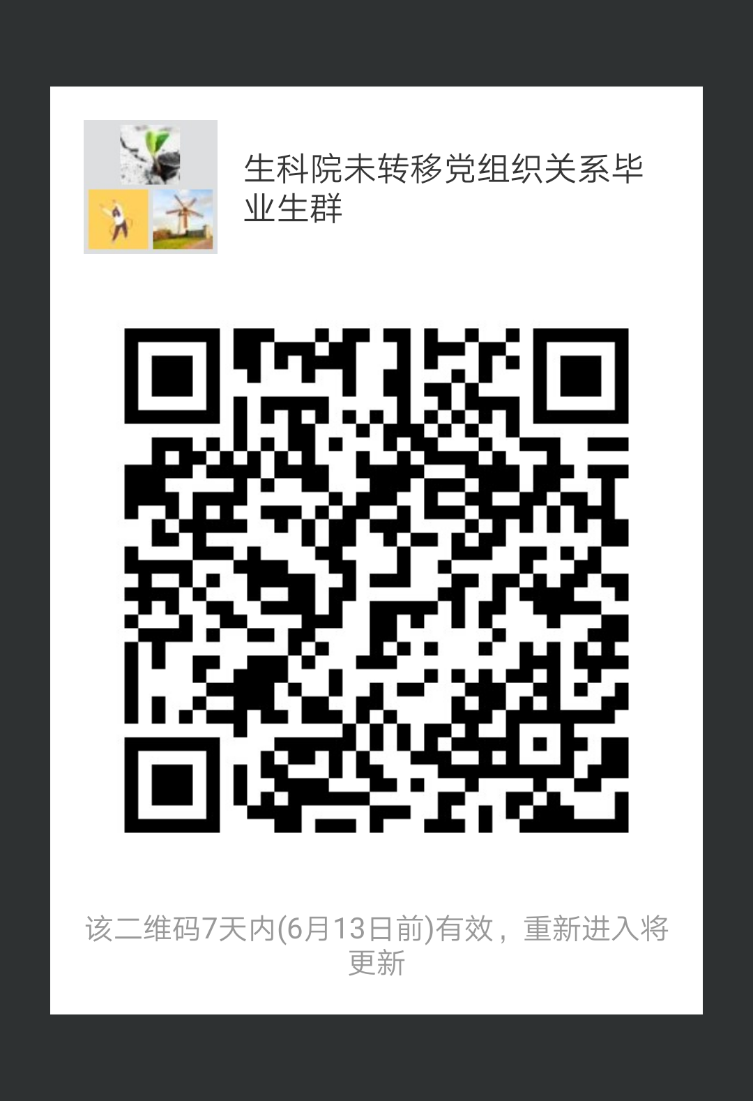精品久久久久久无码人妻