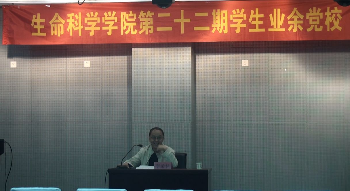 精品久久久久久无码人妻