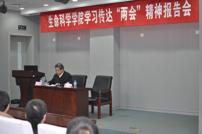 精品久久久久久无码人妻