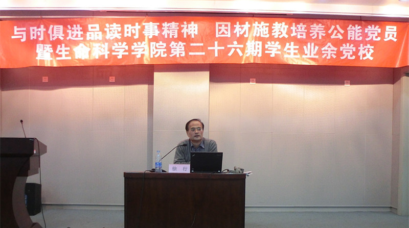 精品久久久久久无码人妻